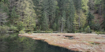 Дике озеро (Озірце) на Міжгірщині зустрічає оновленим виглядом