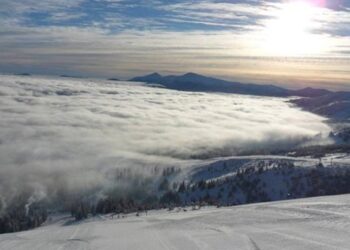 Чоловік не вижив: стало відомо про недільну трагічну подію на Закарпатті — Закарпаття
