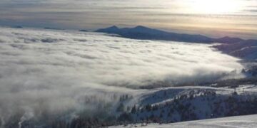 Чоловік не вижив: стало відомо про недільну трагічну подію на Закарпатті — Закарпаття
