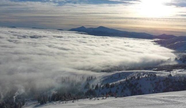 Чоловік не вижив: стало відомо про недільну трагічну подію на Закарпатті — Закарпаття