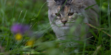“Грійтеся сьогодні”. Синоптикиня попередила про похолодання з наступного тижня