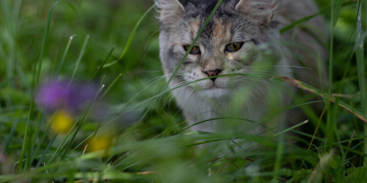 “Грійтеся сьогодні”. Синоптикиня попередила про похолодання з наступного тижня