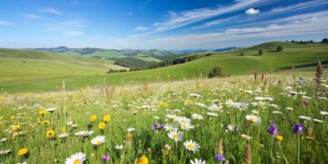 Літо вже близько: синоптики прогнозують, що Закарпаття очікує +30°C на початку червня –
