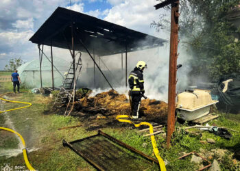 На Берегівщині горіла господарська споруда з трьома тоннами сіна (ФОТО) –