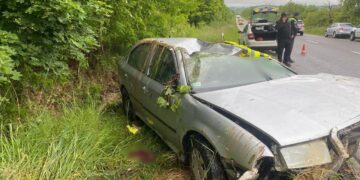 На Мукачівщині, з'їхавши на авто в кювет, загинув громадянин Польщі, його пасажир, неповнолітній ужгородець, травмований (ФОТО)