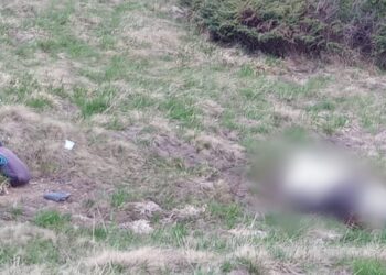 На Рахівщині біля кордону з Румунією виявили тіло людини (ФОТО)