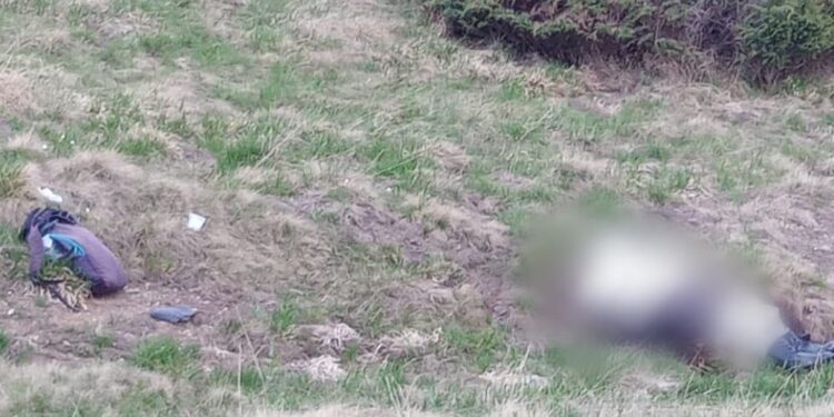 На Рахівщині біля кордону з Румунією виявили тіло людини (ФОТО)