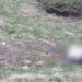 На Рахівщині біля кордону з Румунією виявили тіло людини (ФОТО)