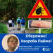 На Закарпатті розпочався сезон активності кліщів! Найвищий ризик зараження хворобою Лайма — із травня по листопад