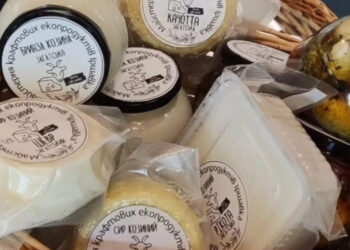 На Закарпатті ветеранські ініціативи з розвитку агросектору отримують підтримку з обласного бюджету