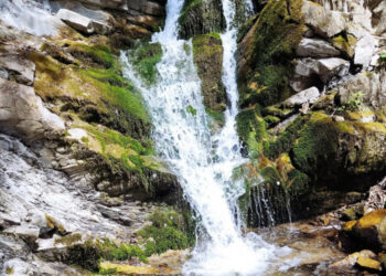 Нове місце для відпочинку на території Ужанського національного природного парку