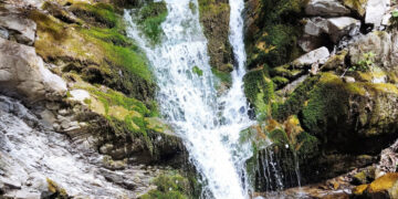 Нове місце для відпочинку на території Ужанського національного природного парку