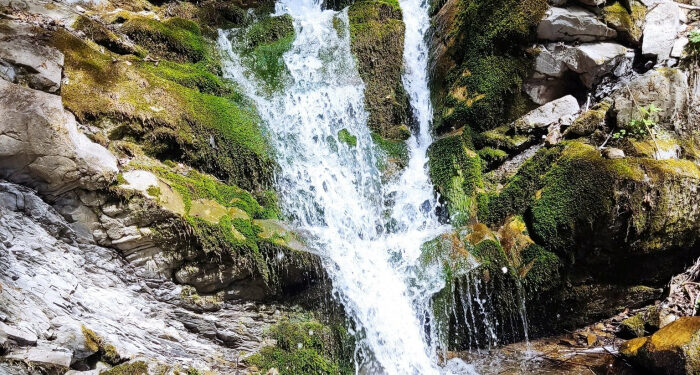 Нове місце для відпочинку на території Ужанського національного природного парку