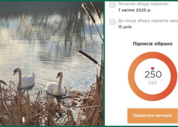 Питання про створення парку “Чорні озера”, підтримане ужгородцями в петиції, виносять на сесію міськради (ДОКУМЕНТИ)
