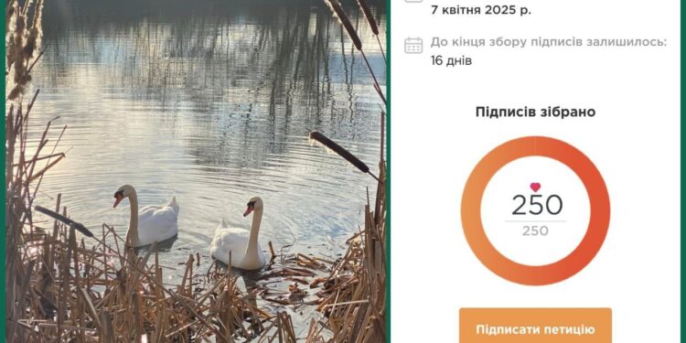 Питання про створення парку “Чорні озера”, підтримане ужгородцями в петиції, виносять на сесію міськради (ДОКУМЕНТИ)