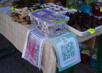 Пів мільйона доларів на життя: в Ужгороді збирали кошти для хворої Емілії (ФОТО) –