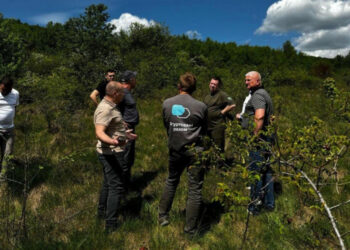 Понад 19 мільйонів доларів на агромістечко для ВПО: на Ужгородщині збудують новий дім для 1000 людей