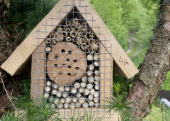 Працівники Ужанського нацпарку облаштували готелі для бджіл