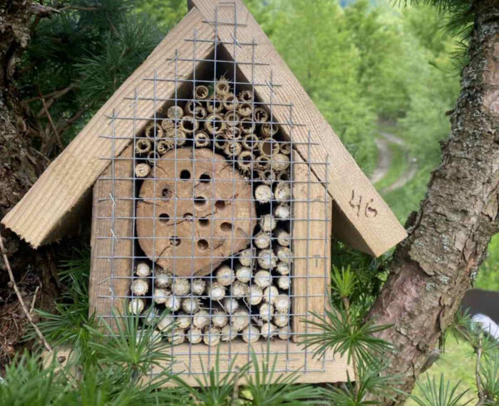 Працівники Ужанського нацпарку облаштували готелі для бджіл