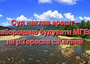 Тячівський суд наклав арешт на землю під будівництво МГЕС в Калинах (ДОКУМЕНТ)