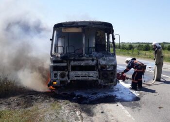 У Горонді на Мукачівщині згорів автобус ПАЗ