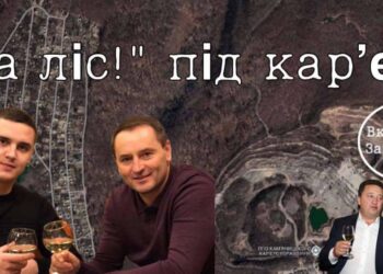 У Кам’яниці рубають ліс під новий андезитовий кар’єр компанії Михайла Лаби та оточення нардепа, члена фракції ОП-ЗЖ Фельдмана