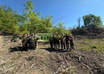 У Кам’яниці висадили «Дерева пам’яті» на честь українських героїв