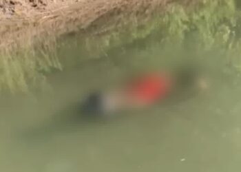 У Тисі виявили ще одного потопельника (ФОТО, ВІДЕО)