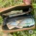У Тячеві злодійка викрала у дружини військового гаманець з 20 тисячами гривень (ФОТО)