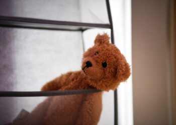 Удочерили трьох сестричок і завели козу. Родина з Київщини кардинально змінила життя на Закарпатті, і не тільки своє