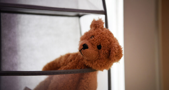 Удочерили трьох сестричок і завели козу. Родина з Київщини кардинально змінила життя на Закарпатті, і не тільки своє