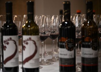 Українське вино цікавить Китай: Закарпаття стало центром виноробної дискусії –