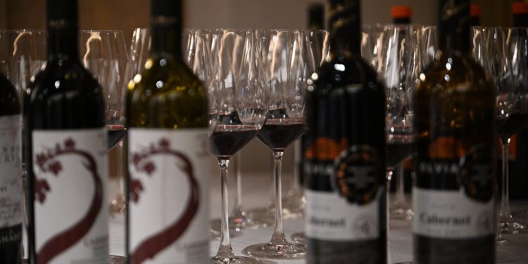 Українське вино цікавить Китай: Закарпаття стало центром виноробної дискусії –