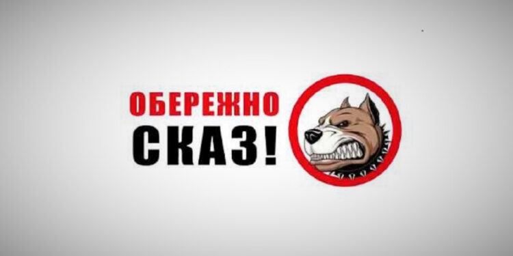 Увага! В Ужгороді через сказ у тварин на деяких вулицях міста ввели карантин –