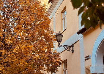 Ужгородська музична школа № 1 оголосила набір учнів на 2025/2026 навчальний рік