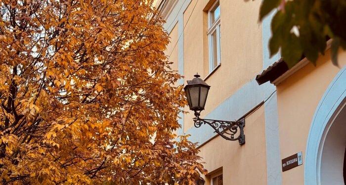 Ужгородська музична школа № 1 оголосила набір учнів на 2025/2026 навчальний рік