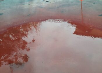 В області випав жовтий дощ, який ускладнив рух на дорогах та перелякав закарпатців –