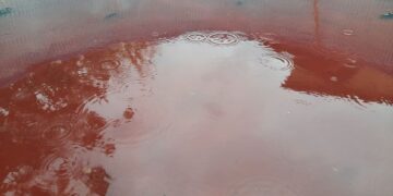 В області випав жовтий дощ, який ускладнив рух на дорогах та перелякав закарпатців –