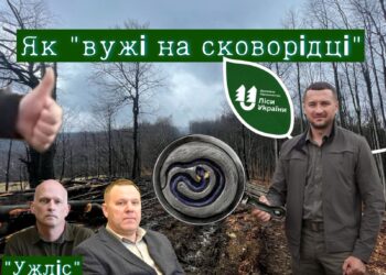 “Вужі на сковороді” пралісів “Шипота”