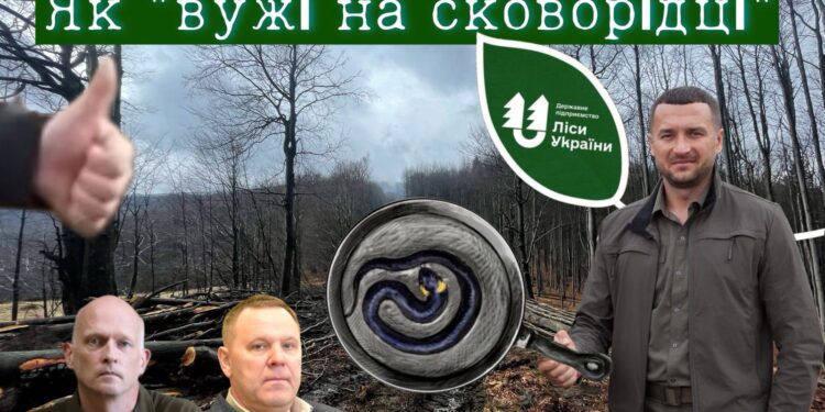 “Вужі на сковороді” пралісів “Шипота”