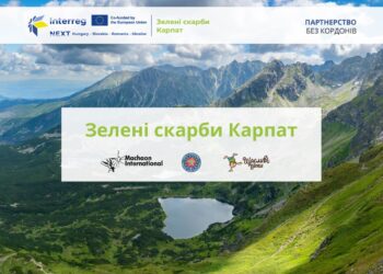 Закарпаття очима дітей: стартував проєкт «Зелені скарби» про природу й екосвідомість –