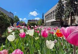 Жоден депутат не підтримав пропозицію щодо заборони ОПЗЖ в Ужгородській міській раді. –
