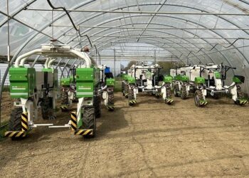 Виробник агророботів Naïo Technologies шукає покупця – Техніка