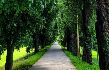 Яку погоду прогнозують синоптики на Закарпатті 11 червня — Ужгород