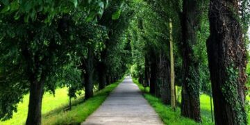 Яку погоду прогнозують синоптики на Закарпатті 11 червня — Ужгород