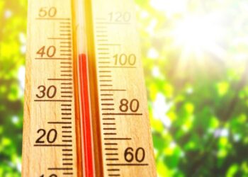 Погода на липень 2025 року: коли почнеться перша аномальна спека — Закарпаття