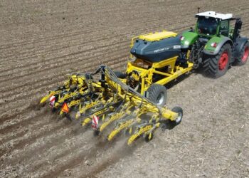 Кукурудза на «Прибутковому полі»: стартові результати трьох технологій – Техніка