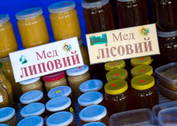 Бурштинове золото Закарпаття: як унікальний мед став туристичною візитівкою регіону (ВІДЕО) –