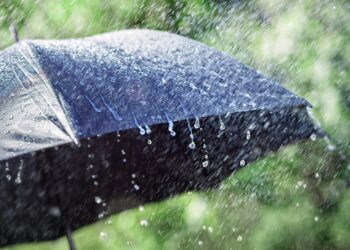 Де в Україні стане прохолодніше і пройдуть дощі: прогноз на 9 червня