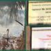 Депутати Ужгорода проголосували за створення парку “Чорні озера” (ДОКУМЕНТ)